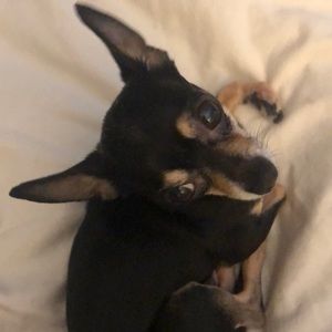 Meet your Posher, Christina